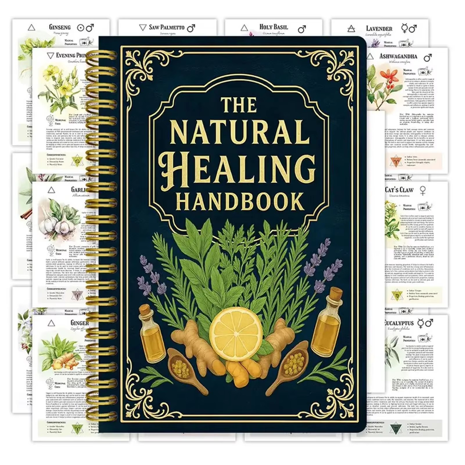 Health & Wellness Naics Code - Healing Handbook By Luna Filby English