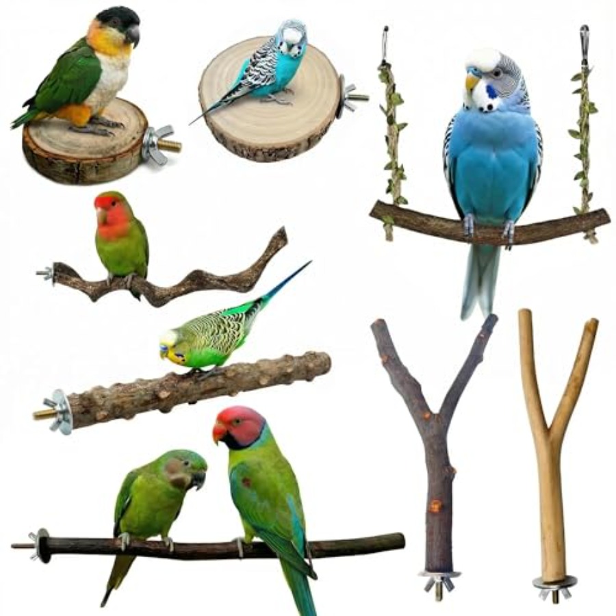 8PCS natural wood bird perches - Health & Wellness Naics Code recensie en prijs