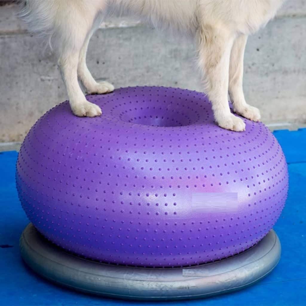 Balance Disc Cushion Dog Balan - Balance Cushion Disc recensie en prijs
