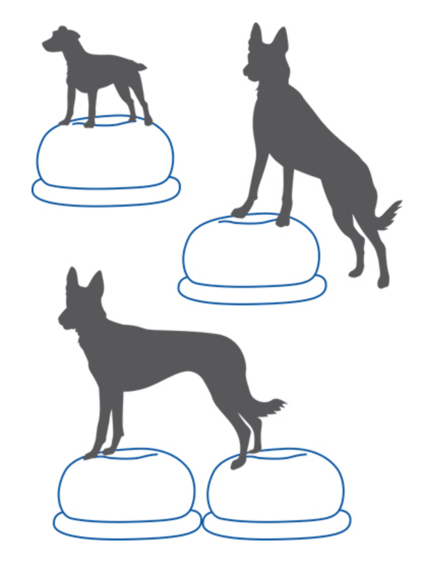 Balance Disc Cushion Dog Balan - Balance Cushion Disc recensie en prijs