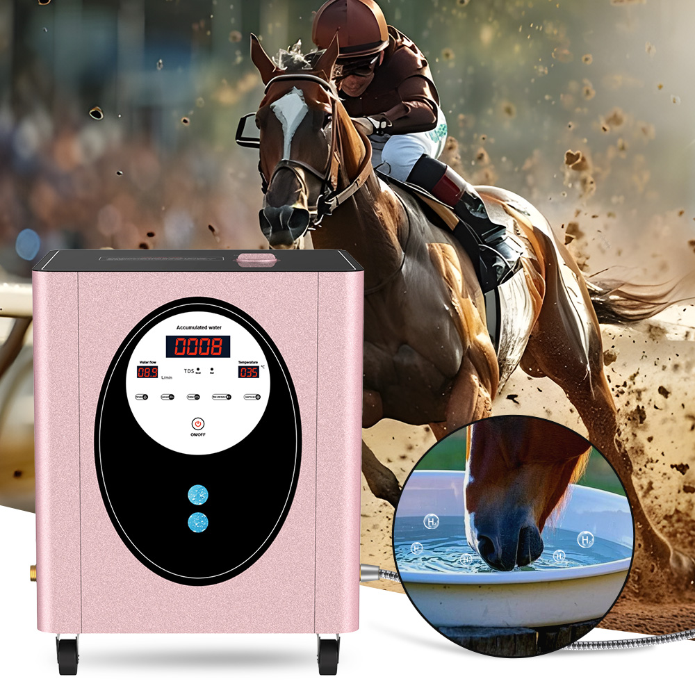 SUYZEKO Whole House Hydrogen W - Health Wellness Club recensie en prijs